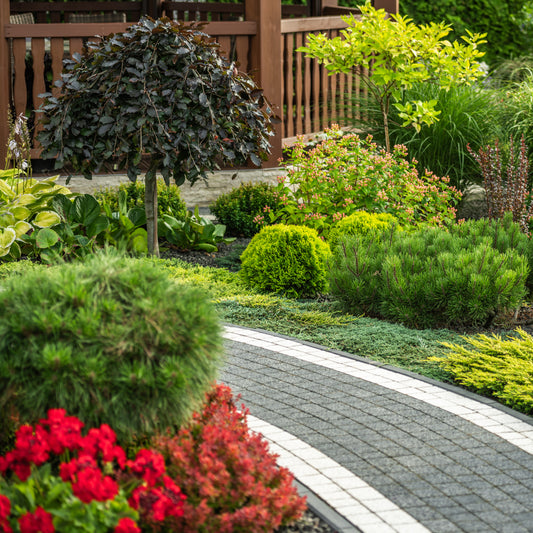 The Perfect Time to Start Landscaping in Toronto