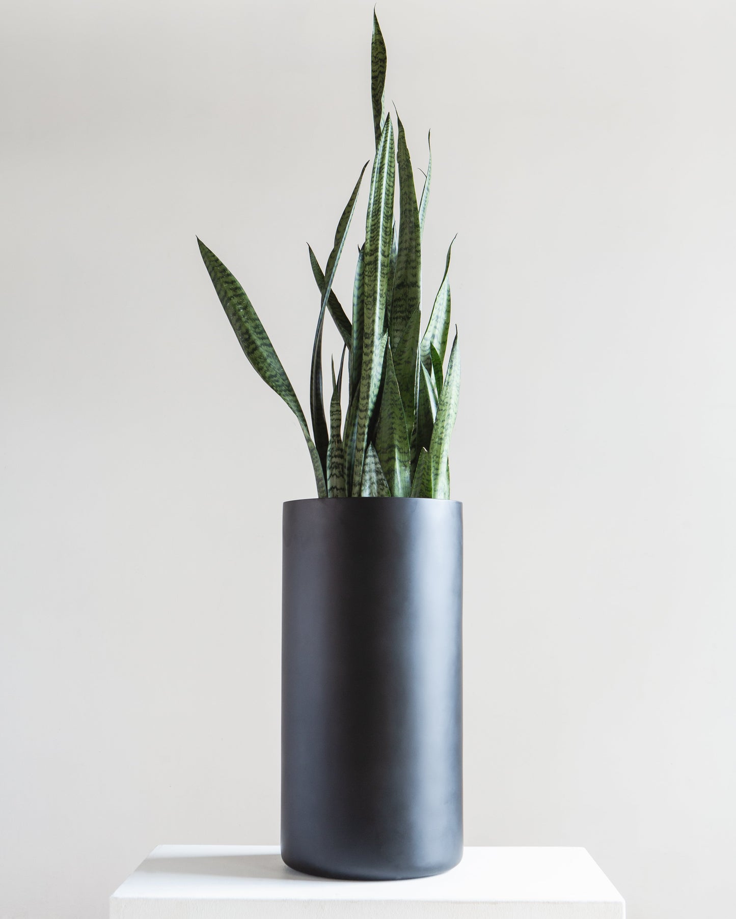 Cylindrico Tall Planter | 8-10 inch Nursery Pot