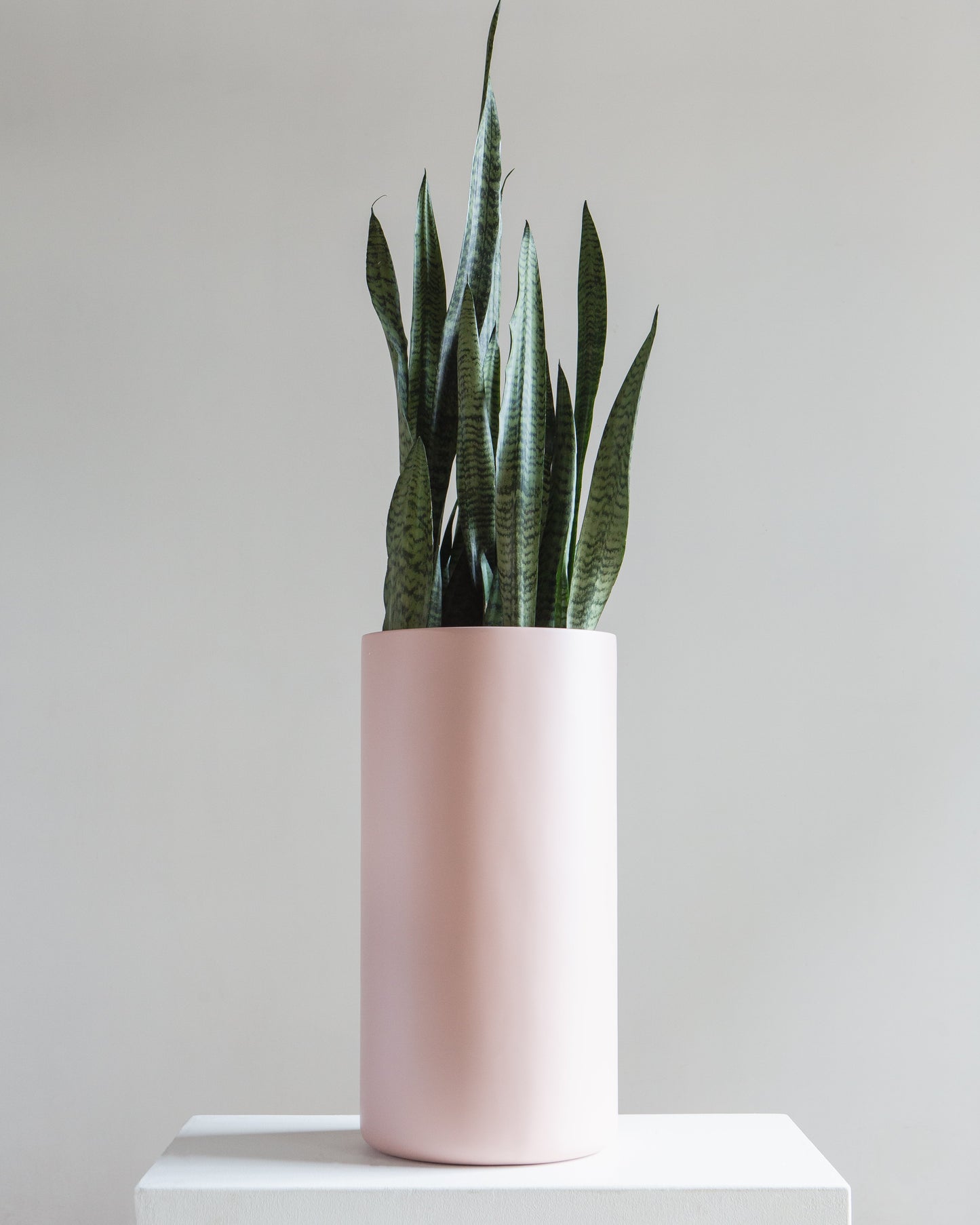 Cylindrico Tall Planter | 8-10 inch Nursery Pot
