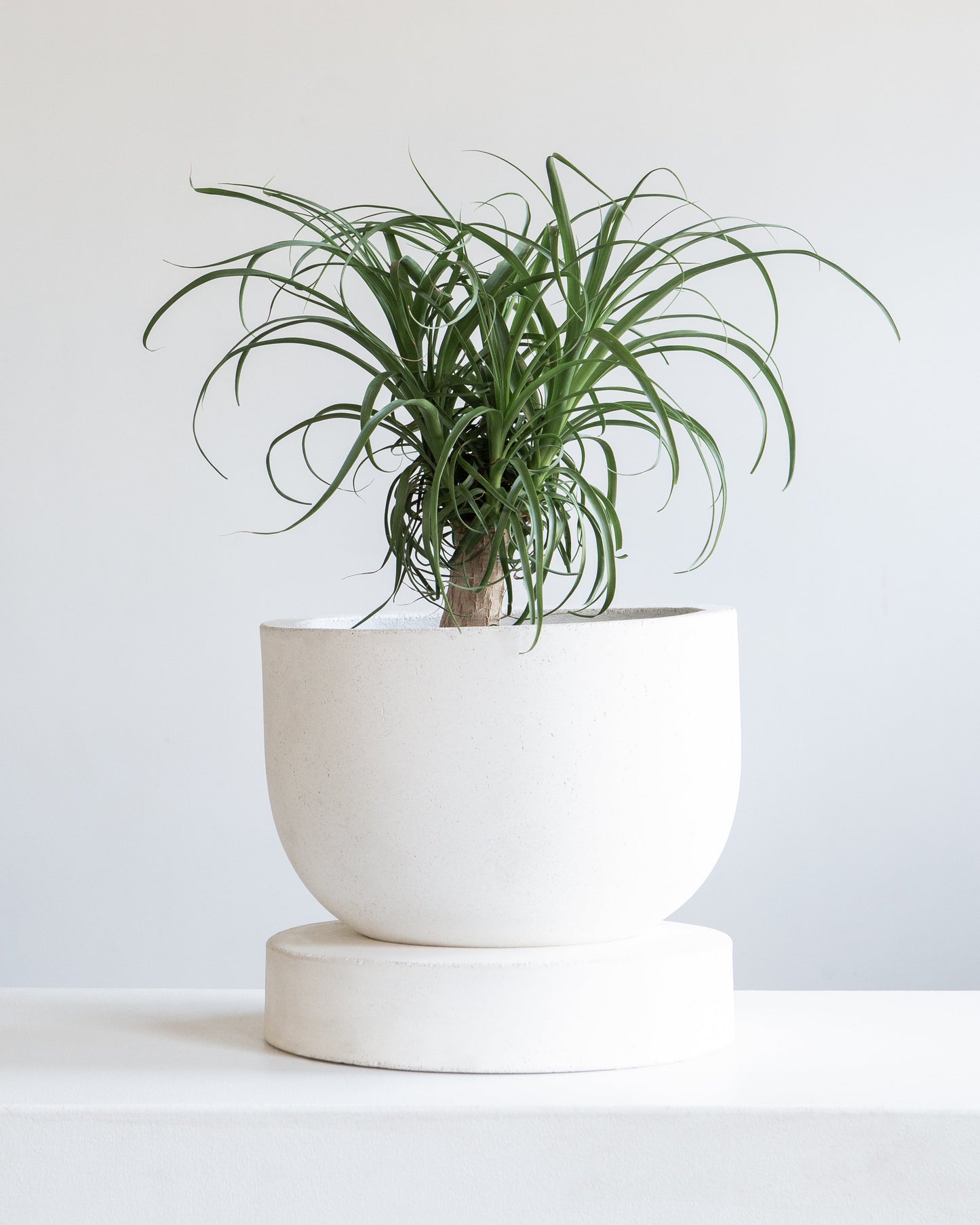 Archer Planter with Drainage and Tray | 10 inch Diameter — empty planter, studio photo — planter for sale by Promise Supply for delivery and pickup in Toronto.