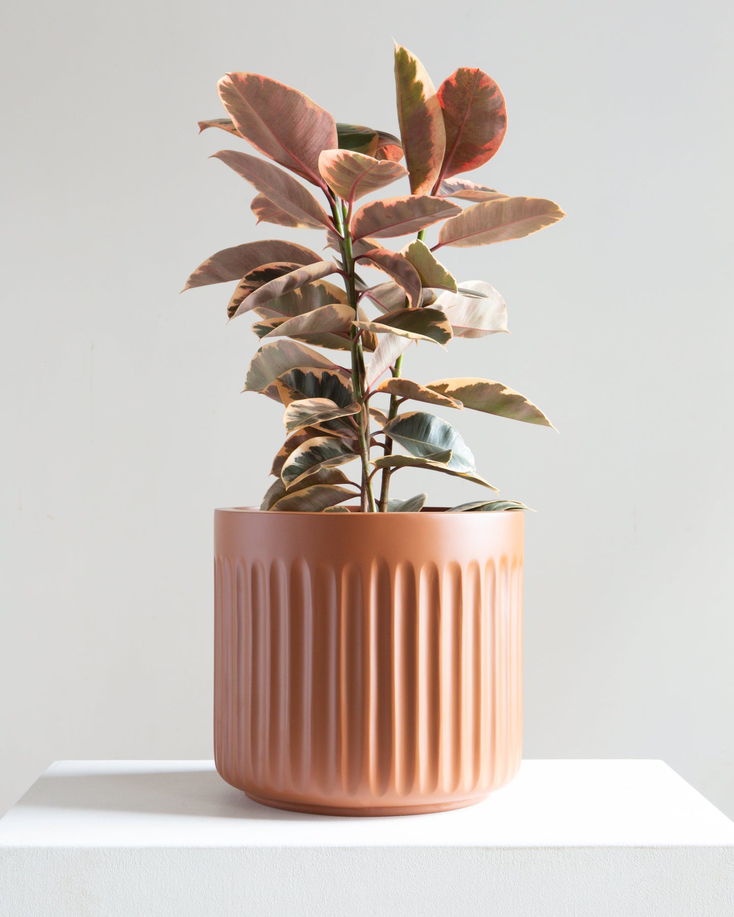 Doric Planter | 10-12 inch Nursery Pot
