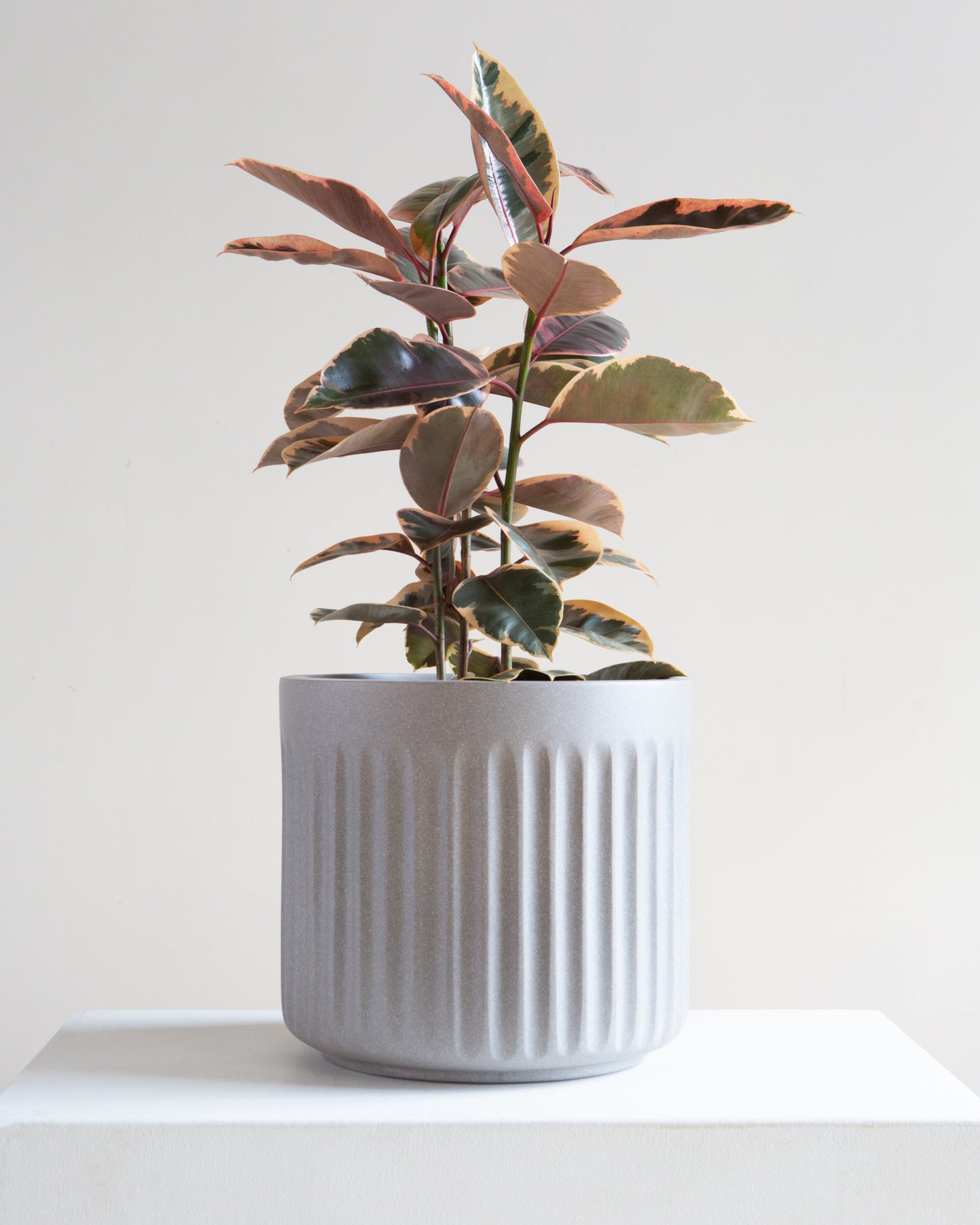 Doric Planter | 10-12 inch Nursery Pot
