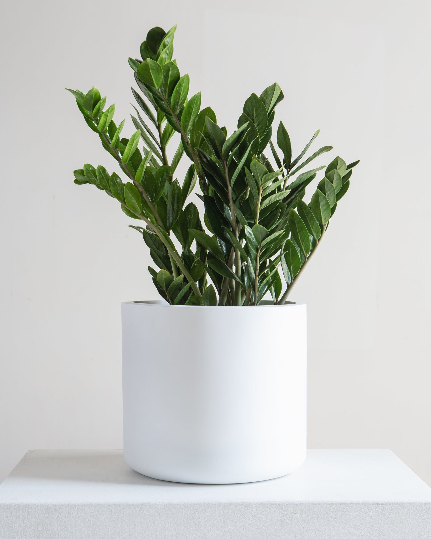 Cylindrico Planter | 10 inch Nursery Pot