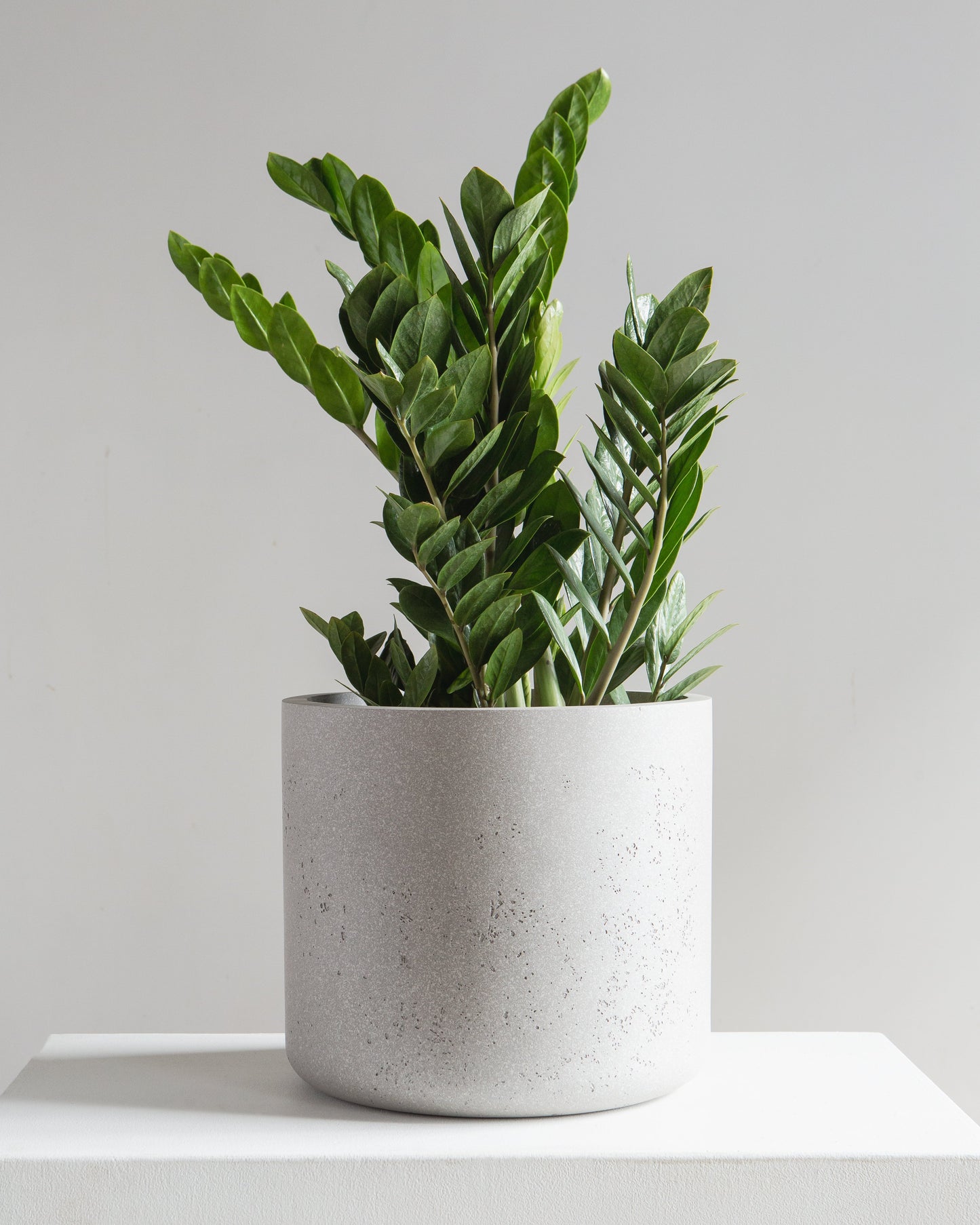 Cylindrico Planter | 10 inch Nursery Pot