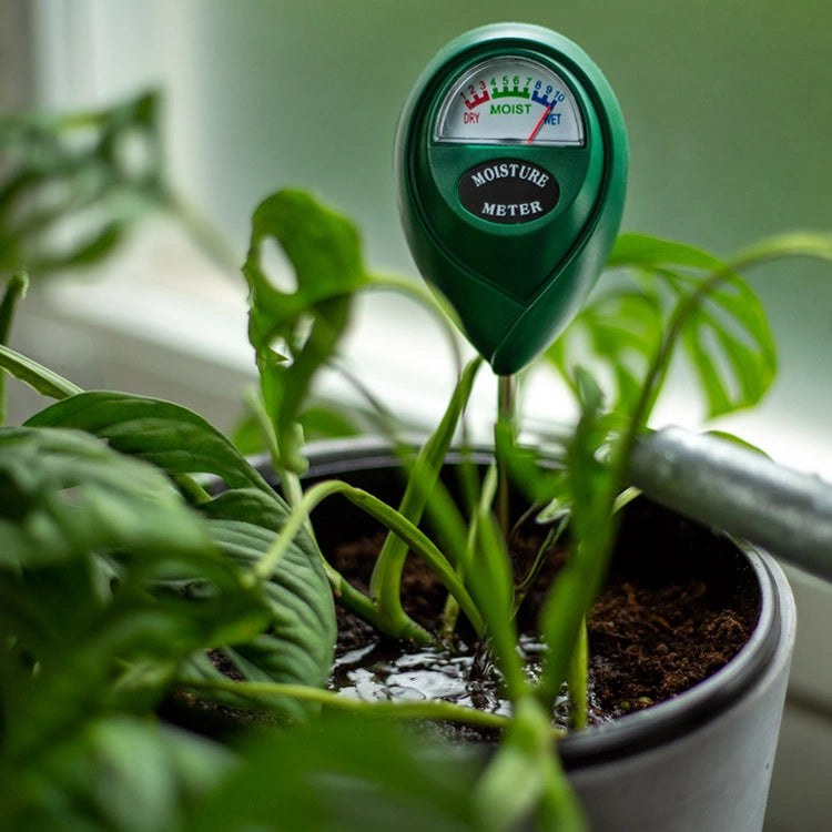 Moisture Meter
