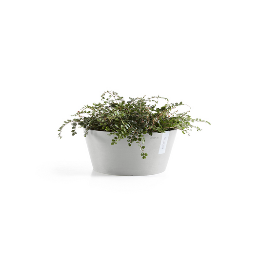 Frankfurt Resin Round Planter with Drainage | 15 inch Diameter — empty planter, studio photo — planter for sale by Promise Supply for delivery and pickup in Toronto.