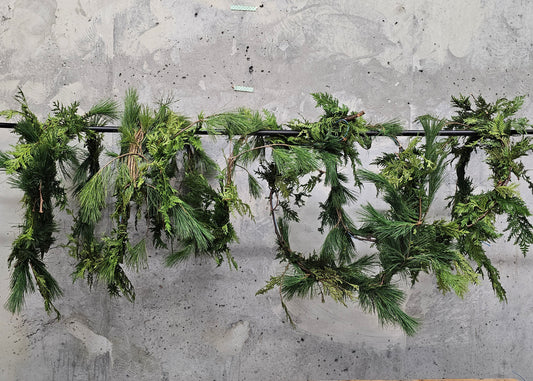 Cedar and Pine Garland 25 Feet — Winter Greens product on white background — for sale by Promise Supply for delivery and pickup in Toronto.