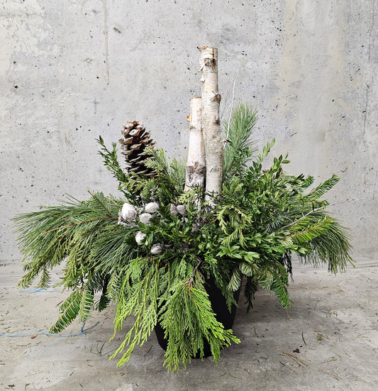Winter Planter Arrangement - 12 inch Pot — Winter Greens product on white background — for sale by Promise Supply for delivery and pickup in Toronto.
