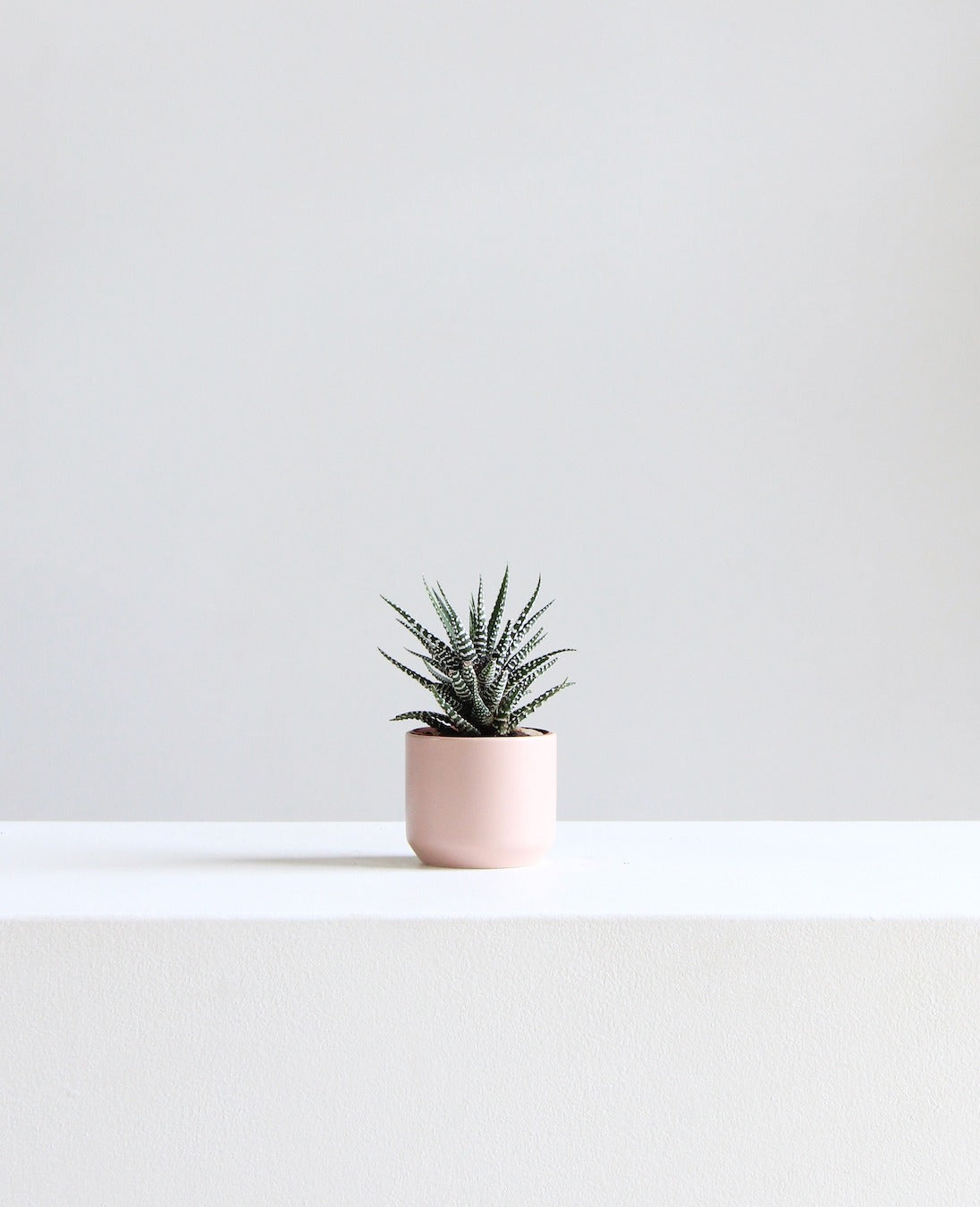 Kendall Ceramic Pot | 2.5 inch Nursery Pot