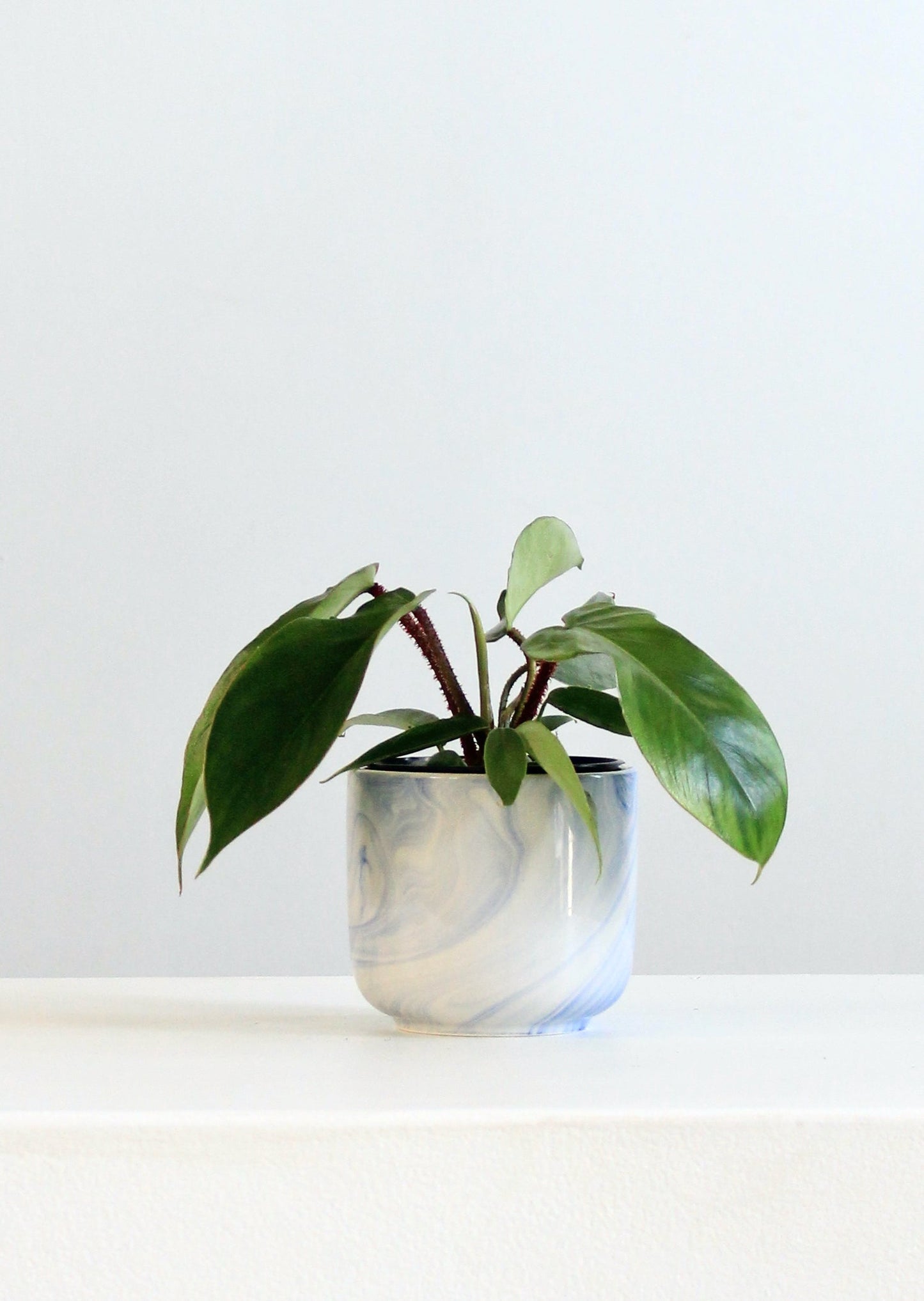 Caspian Blue Marbled Planter | 4 inch Nursery Pot
