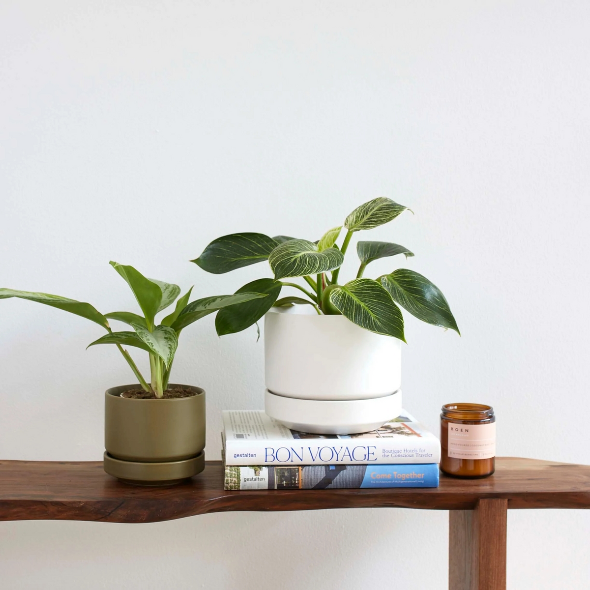 Round Two Ceramic Planter with Drainage and Tray | 7 inch Diameter