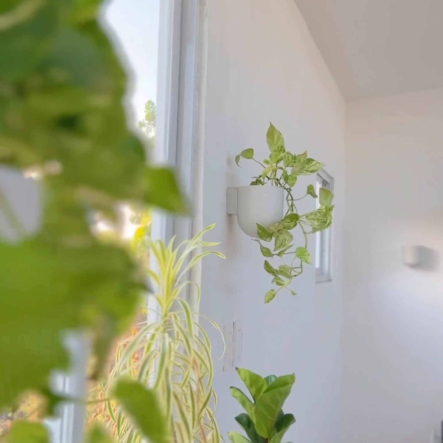 Wall Mounted Upcycled Planter Pot | 5.5 inch Diameter — empty planter, studio photo — planter for sale by Promise Supply for delivery and pickup in Toronto.