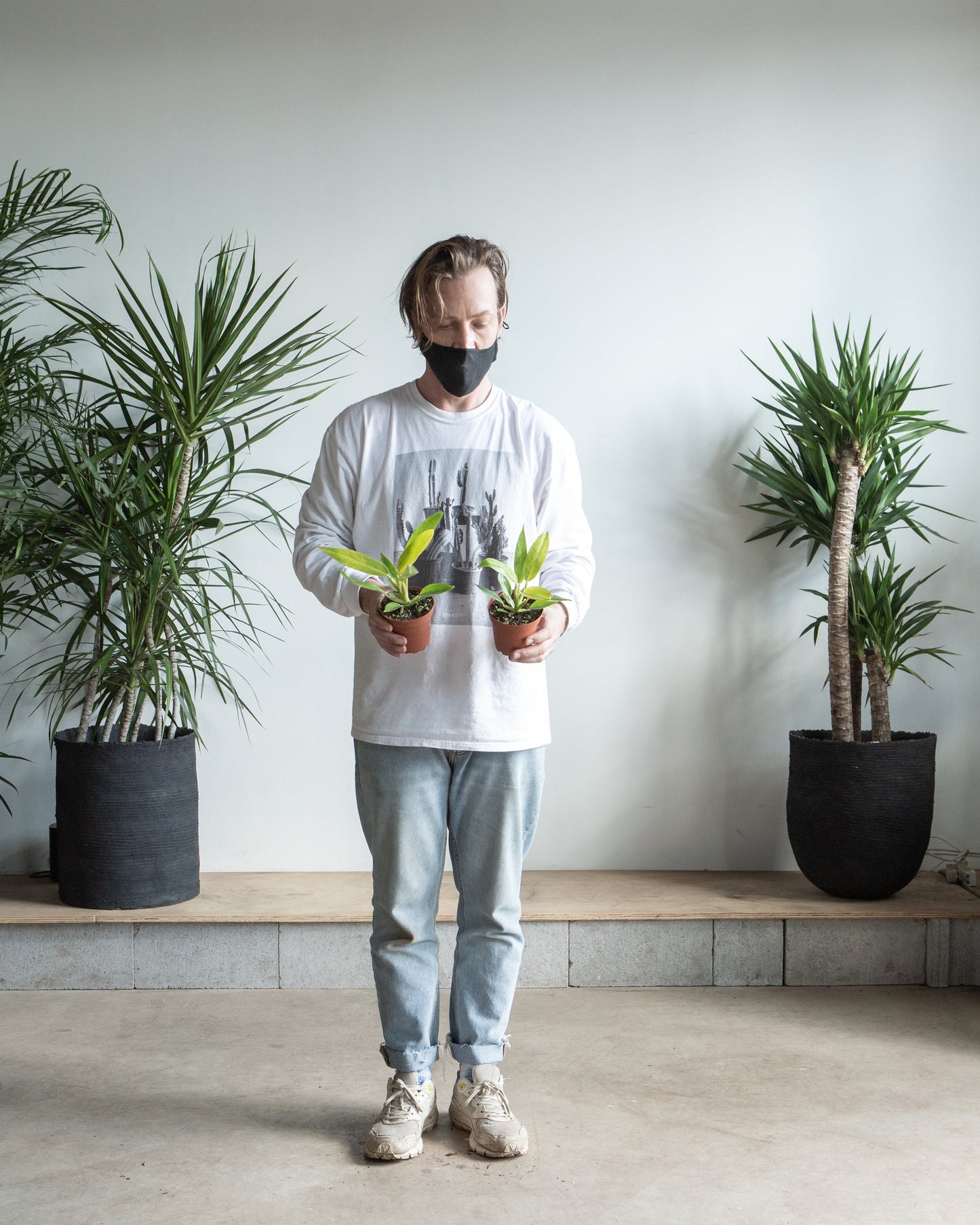 Painted Lady: Philodendron - 4 inch pot — indoor plant — indoor plant for sale by Promise Supply for delivery and pickup in Toronto.