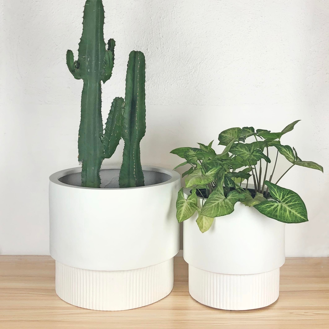 Fluted Base Pedestal Planter | 14 inch Nursery Pot — empty planter, studio photo — planter for sale by Promise Supply for delivery and pickup in Toronto.