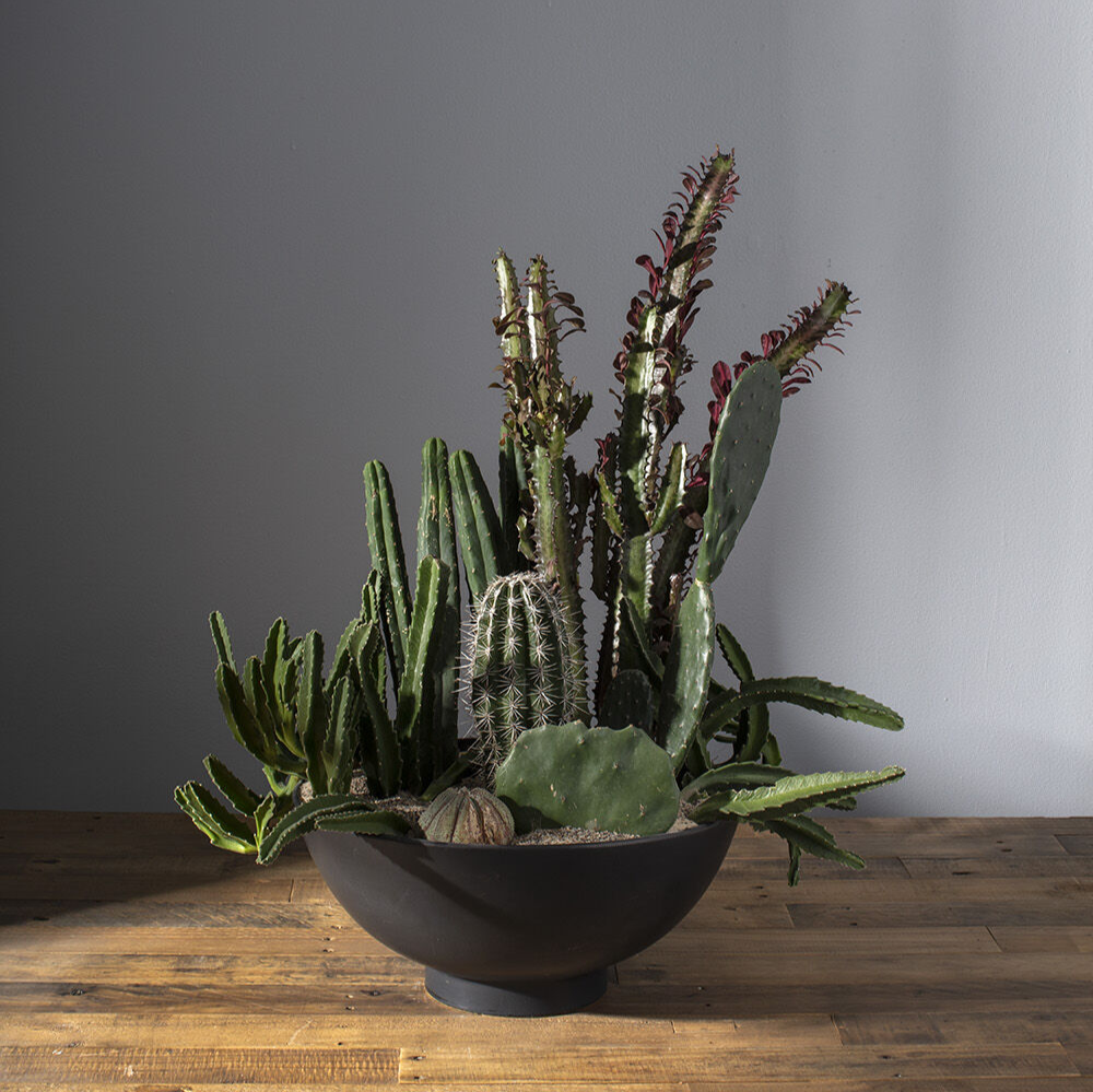 Fortis Bowl | 12 inch Diameter — empty planter, studio photo — planter for sale by Promise Supply for delivery and pickup in Toronto.