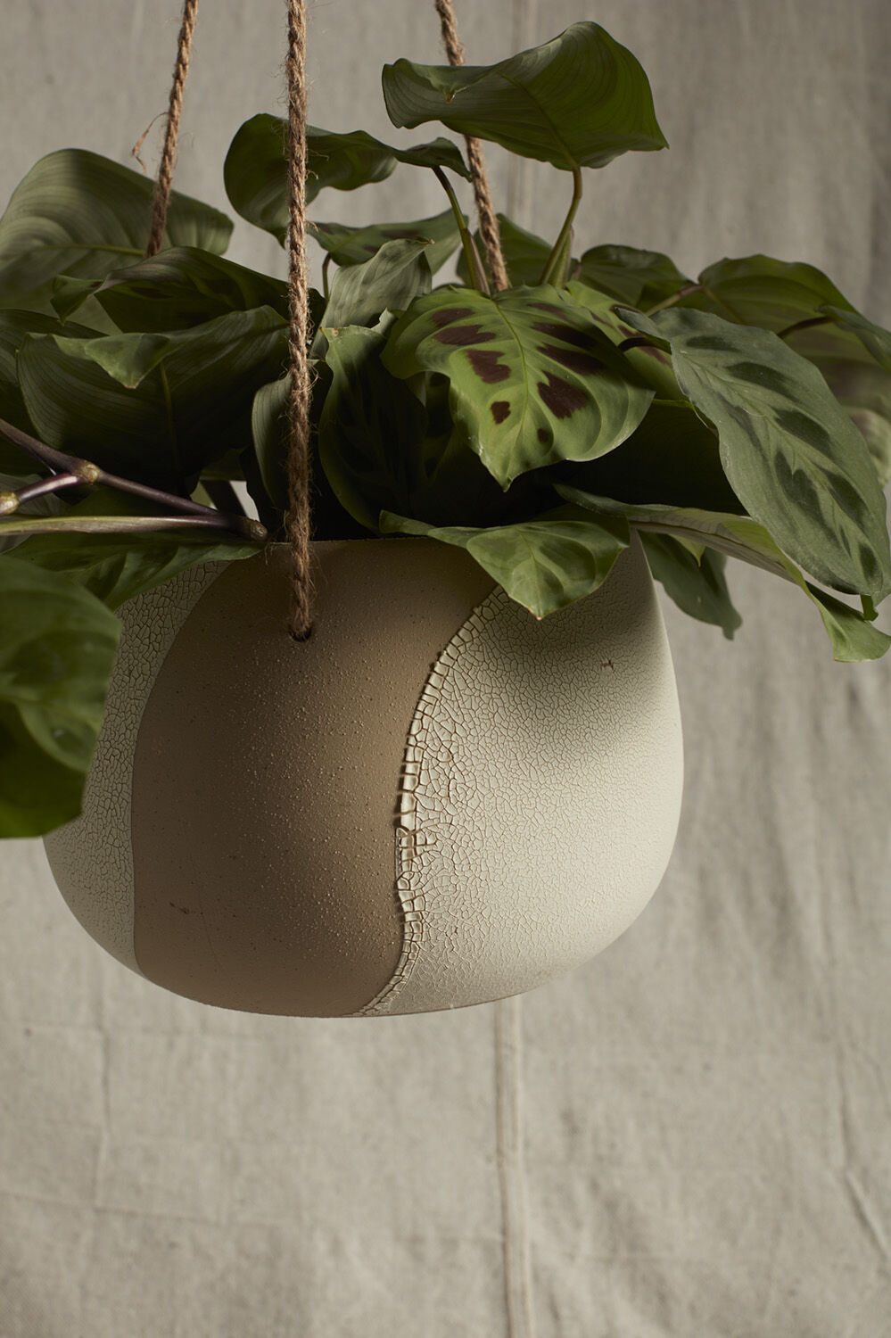 Calliope Hanging Pot | 6 inch Nursery Pot — empty planter, studio photo — planter for sale by Promise Supply for delivery and pickup in Toronto.