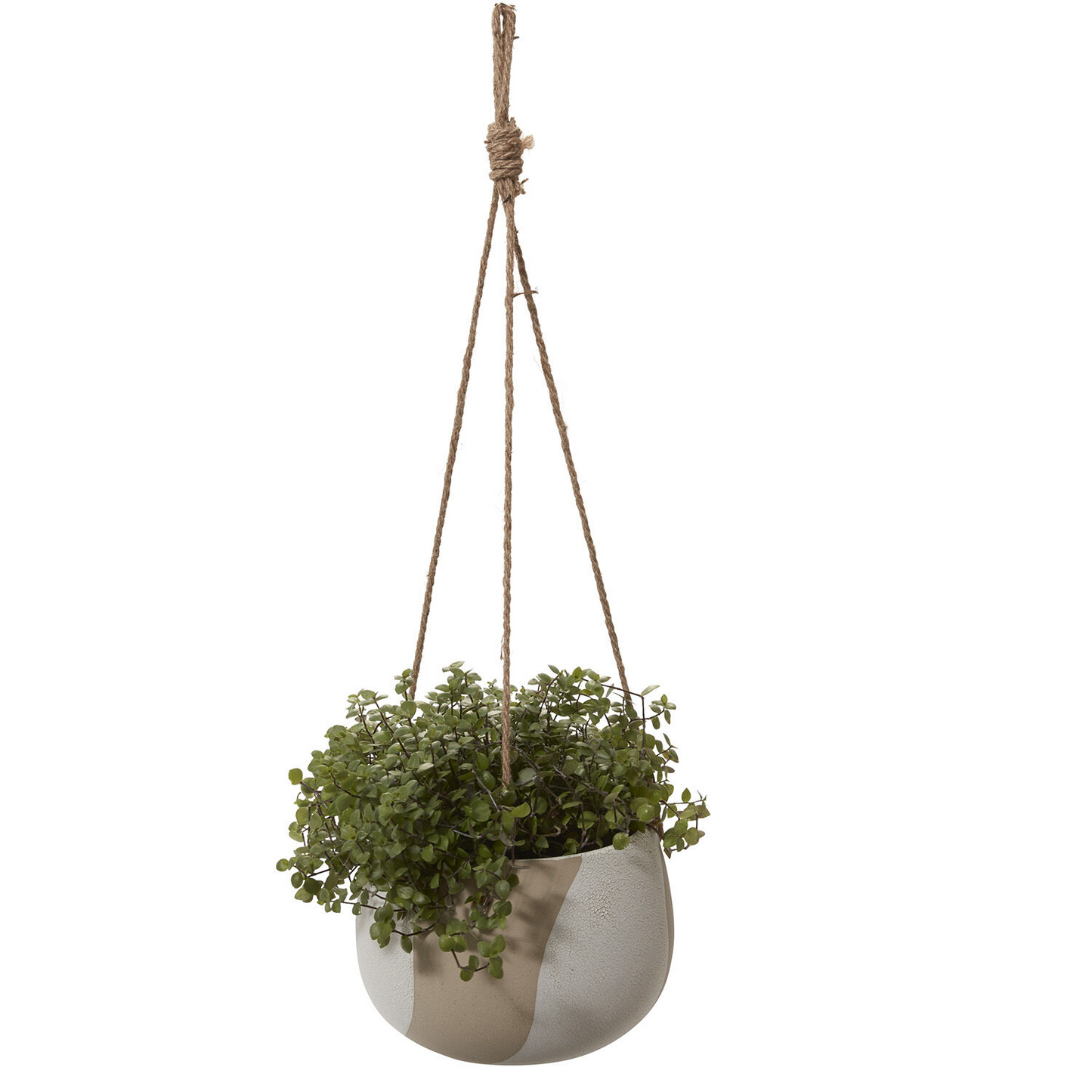 Calliope Hanging Pot | 6 inch Nursery Pot — empty planter, studio photo — planter for sale by Promise Supply for delivery and pickup in Toronto.