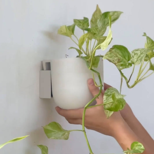 Wall Mounted Upcycled Planter Pot | 5.5 inch Diameter — empty planter, studio photo — planter for sale by Promise Supply for delivery and pickup in Toronto.