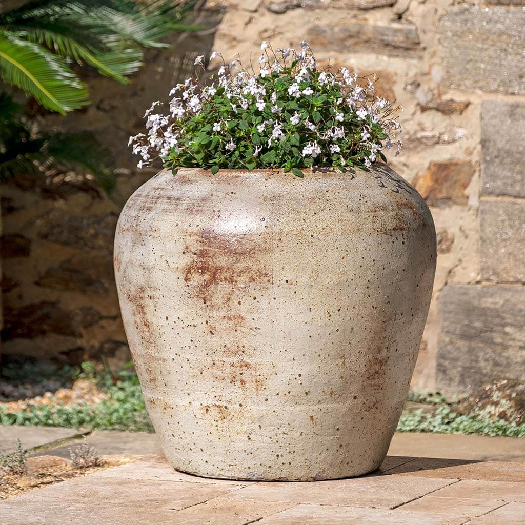Cavaillon Jar | 18 inch Diameter — with plant inside, studio photo — planter for sale by Promise Supply for delivery and pickup in Toronto.