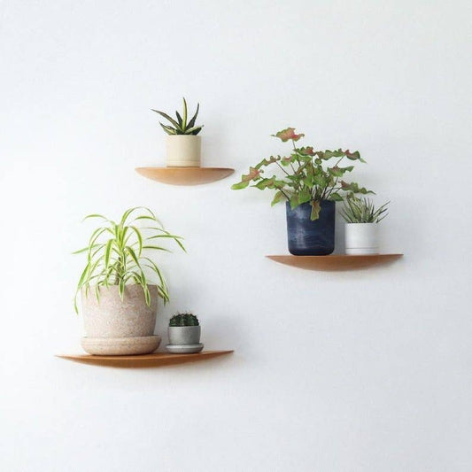 Beech Wall Mounted Plant Shelf Beech: Set of 3 — empty planter, studio photo — planter for sale by Promise Supply for delivery and pickup in Toronto.