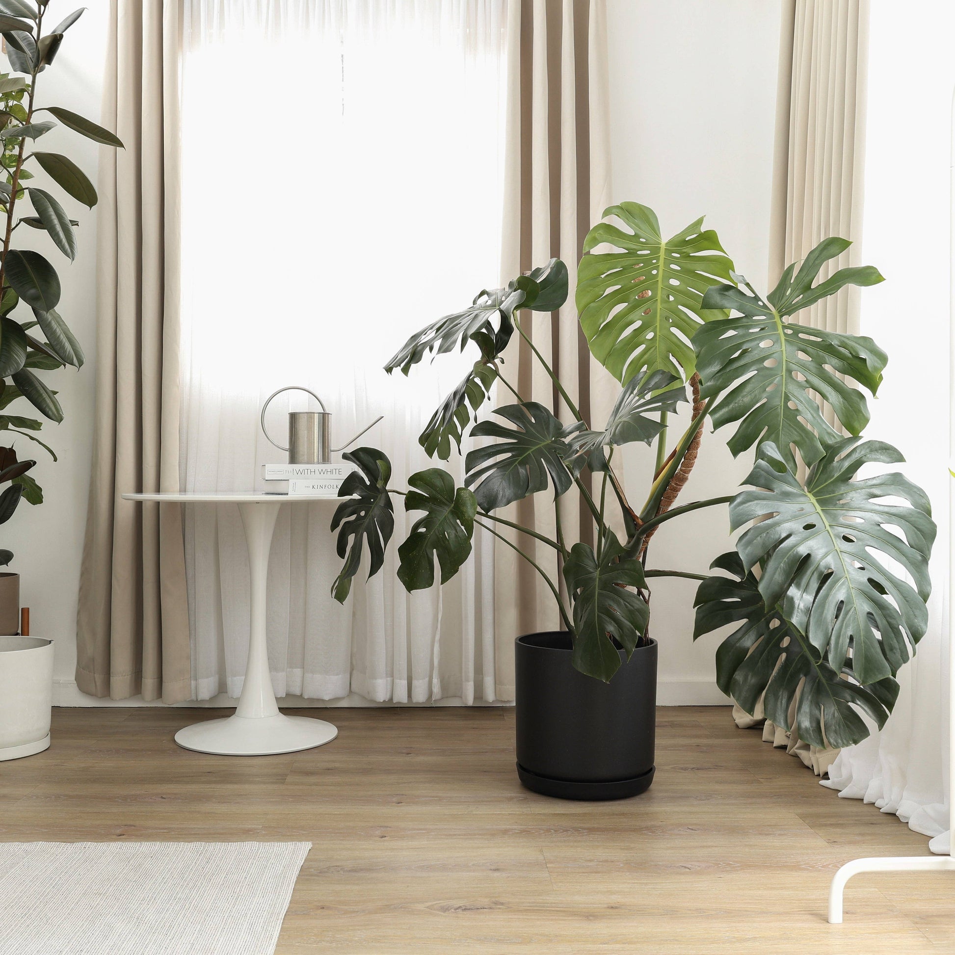 Black Kuro Planter with Drainage & Saucer | 13 inch Diameter — empty planter, studio photo — planter for sale by Promise Supply for delivery and pickup in Toronto.