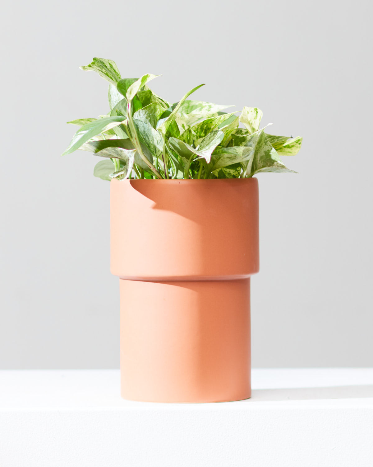 Vermillion Planter | 6 inch Nursery Pot — empty planter, studio photo — planter for sale by Promise Supply for delivery and pickup in Toronto.