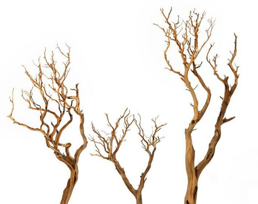 Sandblasted Manzantia Branch | 4ft — Dried & Preserved product on white background — for sale by Promise Supply for delivery and pickup in Toronto.