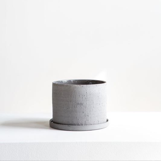 Easton Planter with Drainage and Tray | 5 inch Diameter — with plant inside, studio photo — planter for sale by Promise Supply for delivery and pickup in Toronto.