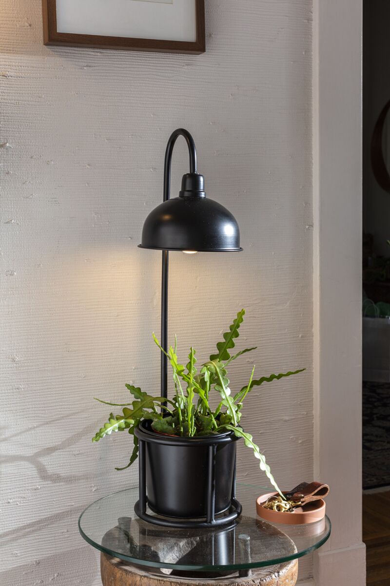 Kira Black Pot and Grow Light Stand | 6 inch Nursery pot