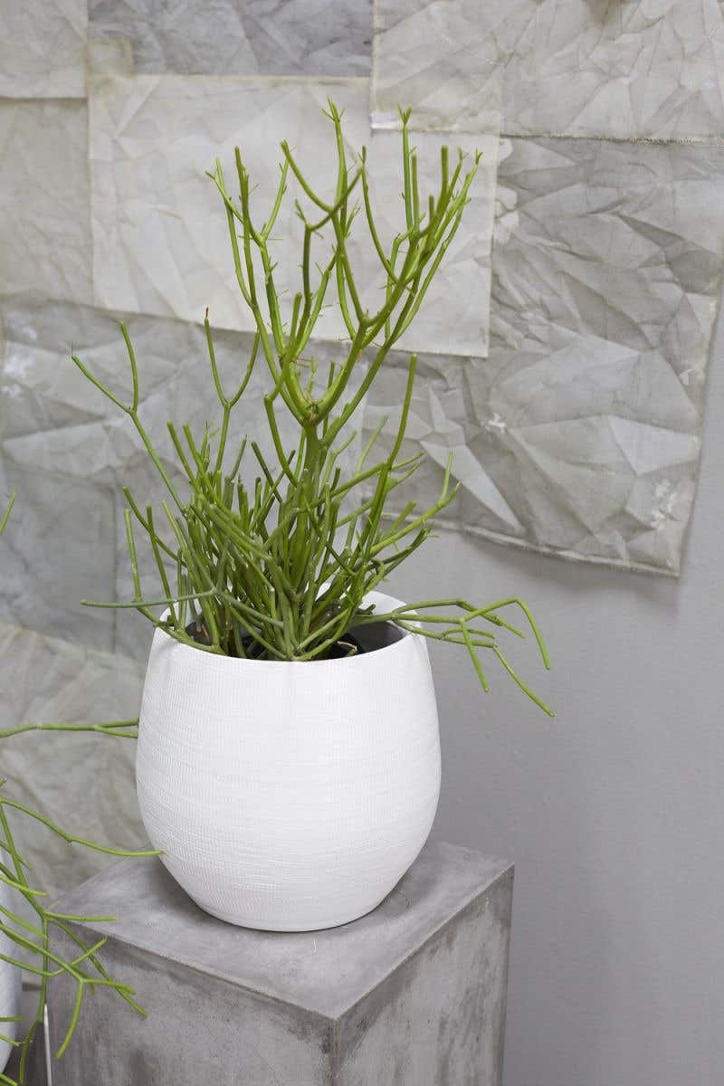 White Benji Ceramic Planter | 10 inch Nursery Pot — empty planter, ceramic planter, studio photo — planter for sale by Promise Supply for delivery and pickup in Toronto.