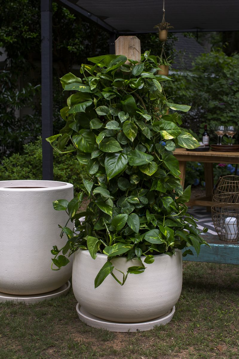 Kodiak Planter with Drainage and Tray | 24 inch Diameter — empty planter, studio photo — planter for sale by Promise Supply for delivery and pickup in Toronto.