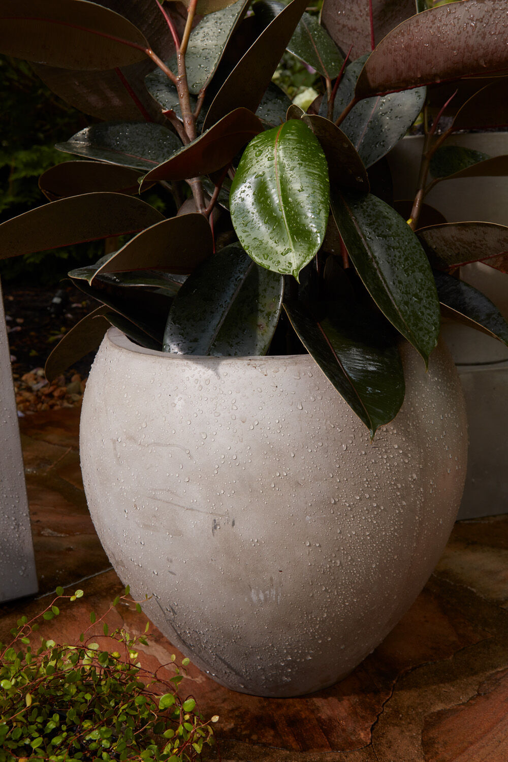 Newport Oversized Concrete Pot | 12 inch Nursery Pot