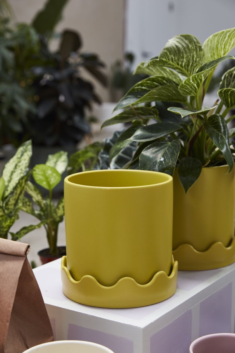 Pissaro White Wavy Planter with Drainage and Tray | 5 inch Diameter — empty planter, studio photo — planter for sale by Promise Supply for delivery and pickup in Toronto.