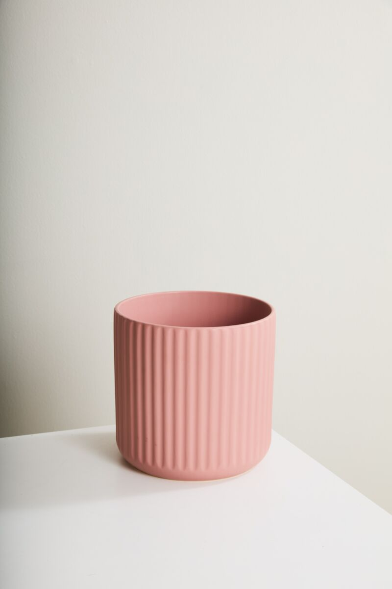 Ribbed Beam Planter | 10 inch Nursery Pot