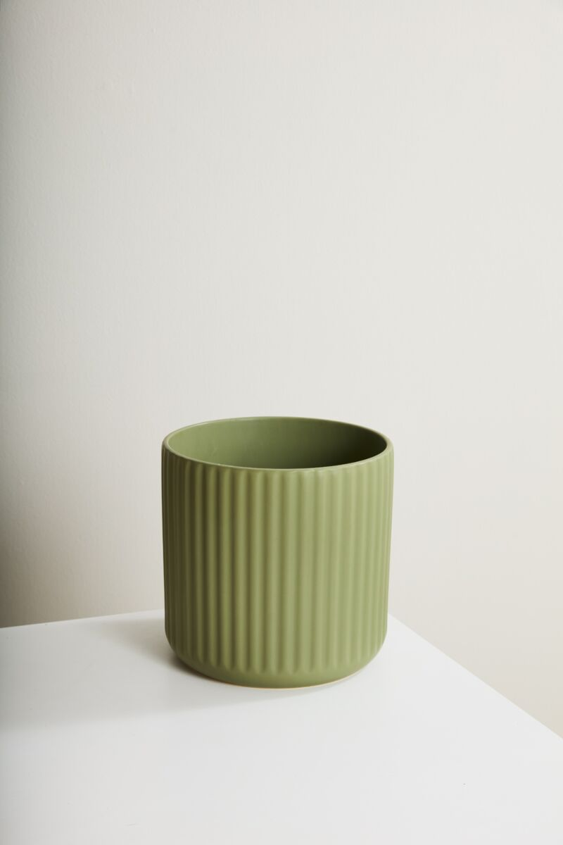 Ribbed Beam Planter | 10 inch Nursery Pot