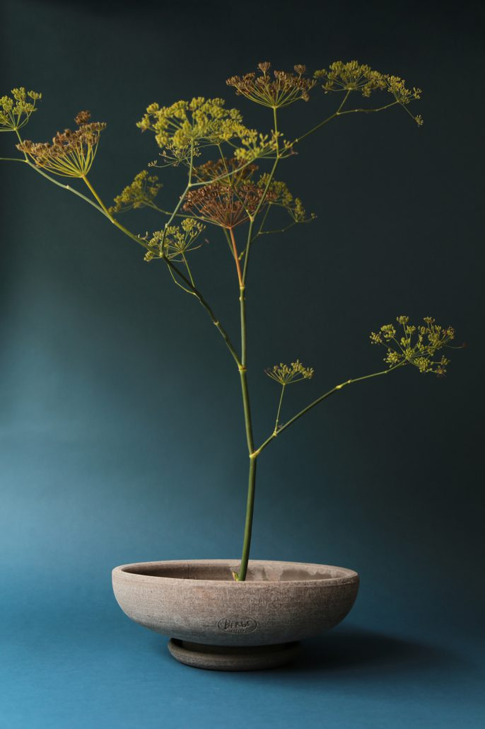 Bergs Potter Ada Bowl with Drainage and Tray | 17.7 Inch Diameter — empty planter, studio photo — planter for sale by Promise Supply for delivery and pickup in Toronto.