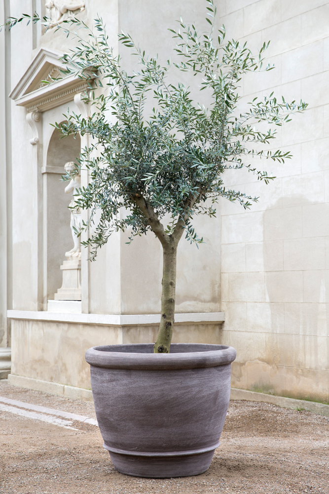 Bergs Potter Campana Pot with Drainage | 23.6 Inch Diameter — empty planter, outdoor setting — planter for sale by Promise Supply for delivery and pickup in Toronto.