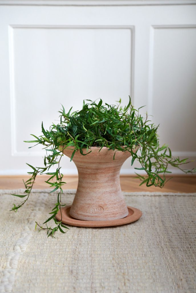 Bergs Potter Celeste Pedestal Pot with Drainage and Tray | 15.2 Inch Diameter — empty planter, studio photo — planter for sale by Promise Supply for delivery and pickup in Toronto.