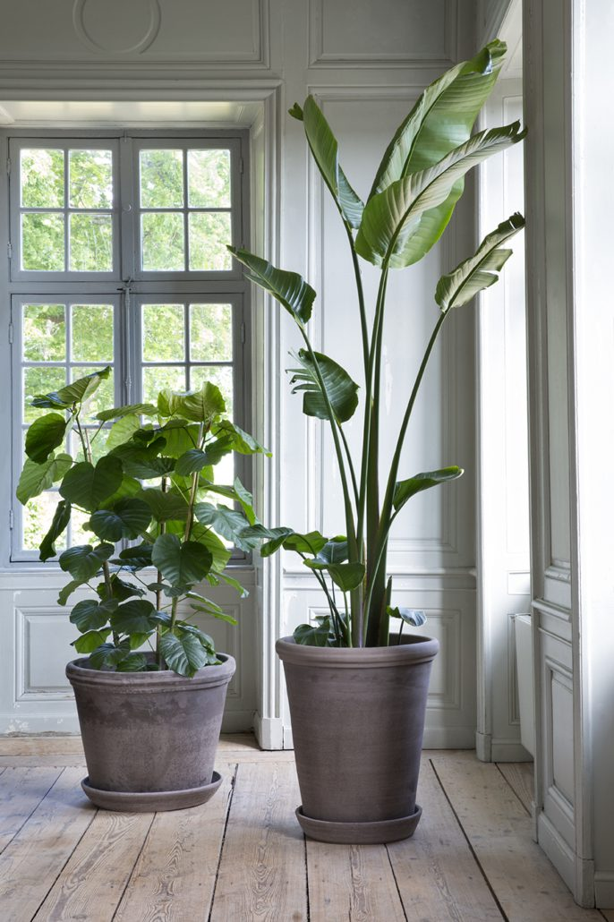 Bergs Potter Flora Pot with Drainage and Tray | 19.7 Inch Diameter — empty planter, studio photo — planter for sale by Promise Supply for delivery and pickup in Toronto.