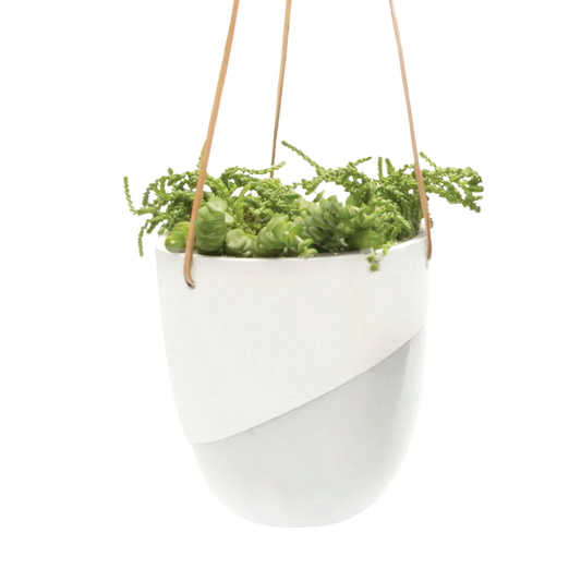 Bobbin Porcelain Modern Hanging Planter | 5 Inch Nursery Pot — empty planter, studio photo — planter for sale by Promise Supply for delivery and pickup in Toronto.