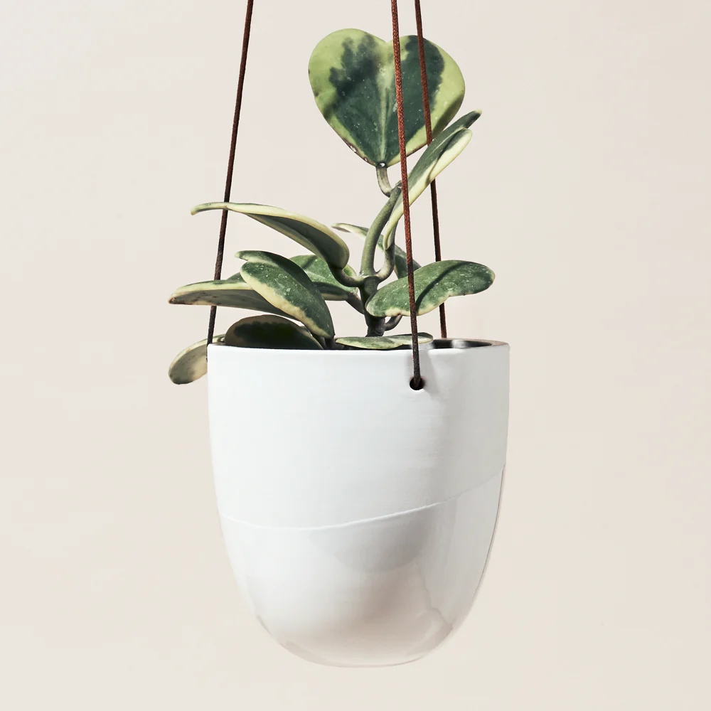 Bobbin Porcelain Modern Hanging Planter | 5 Inch Nursery Pot — empty planter, studio photo — planter for sale by Promise Supply for delivery and pickup in Toronto.