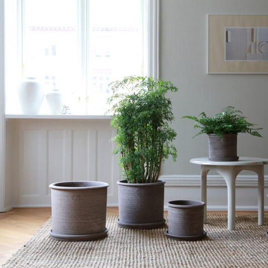 Bergs Potter Modena Pot with Drainage and Tray | 15.7 Inch Diameter — empty planter, studio photo — planter for sale by Promise Supply for delivery and pickup in Toronto.