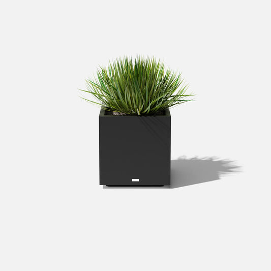 Block Cube Planter | Medium — with plant inside, studio photo — planter for sale by Promise Supply for delivery and pickup in Toronto.