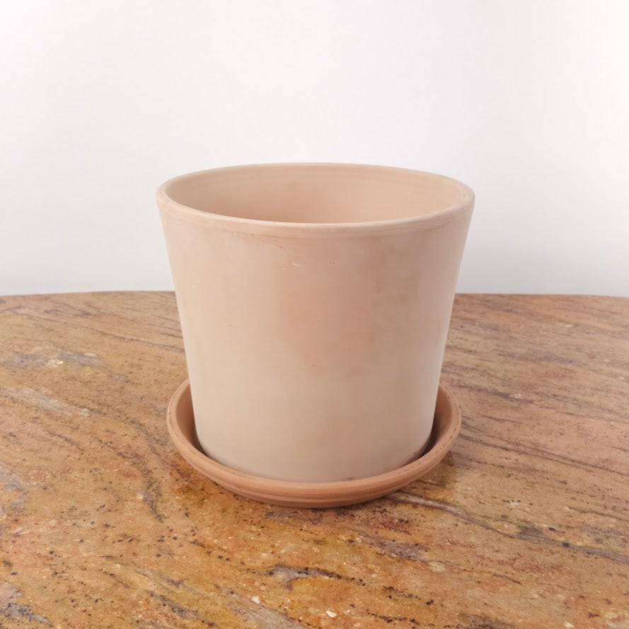 Clay Bleached Cylinder Planter with Drainage | 12 inch Diameter — with plant inside, studio photo — planter for sale by Promise Supply for delivery and pickup in Toronto.