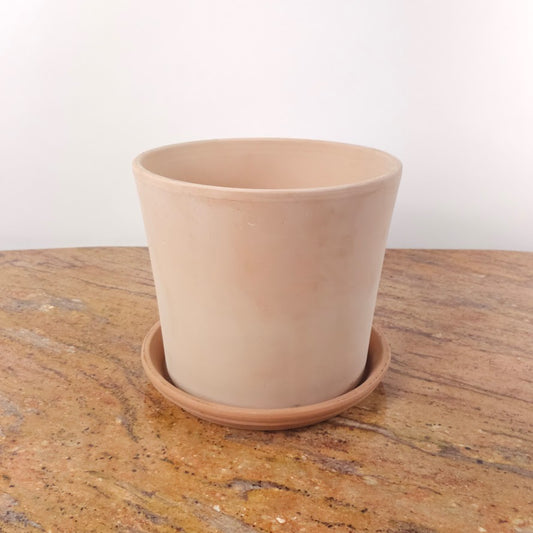 Clay Bleached Cylinder Planter with Drainage | 12 inch Diameter — with plant inside, studio photo — planter for sale by Promise Supply for delivery and pickup in Toronto.