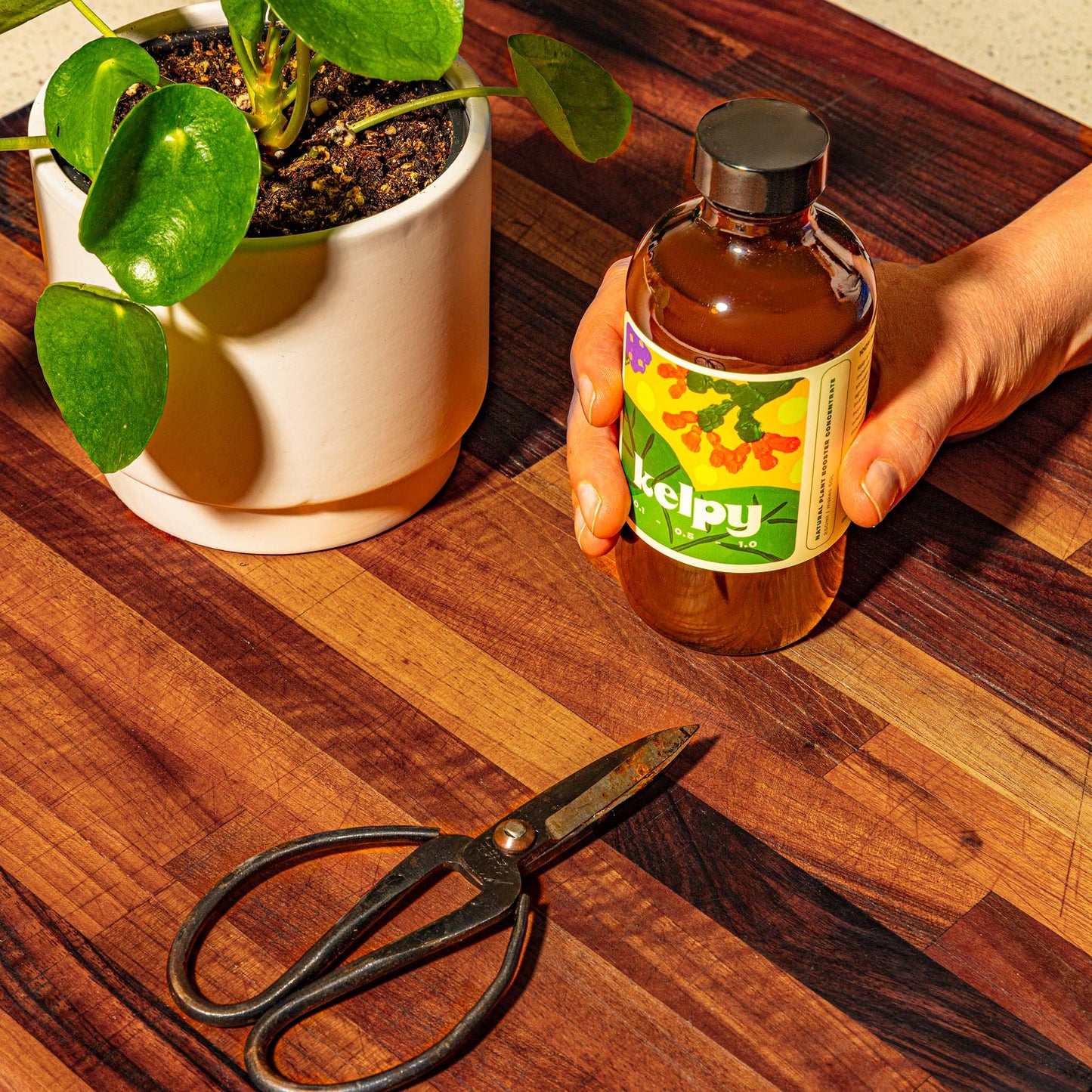 Kelpy Liquid Fertilizer 250ml