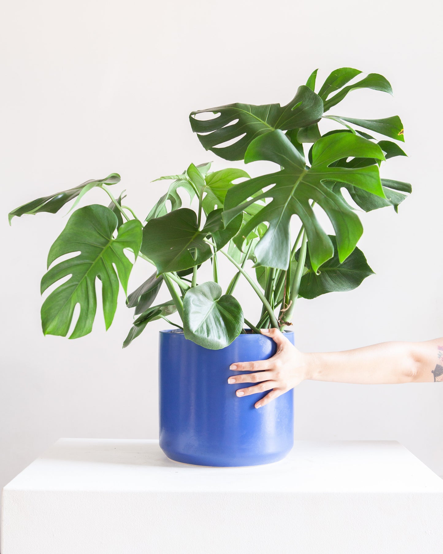 Kendall Ceramic Pot | 10 inch Nursery Pot — empty planter, ceramic planter, studio photo — planter for sale by Promise Supply for delivery and pickup in Toronto.