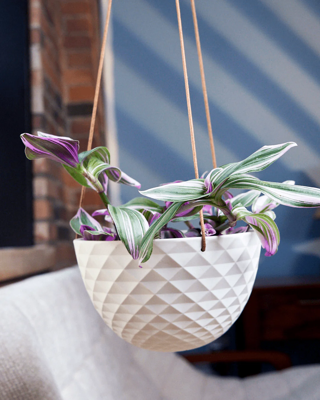 Mini Mofo Porcelain Modern Hanging Planter | 6 Inch Nursery Pot — empty planter, studio photo — planter for sale by Promise Supply for delivery and pickup in Toronto.