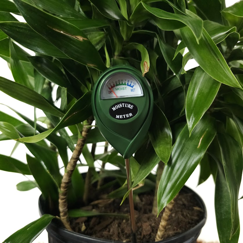 Moisture Meter