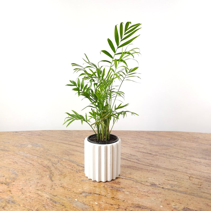 Monticello Planter | 4 inch Nursery Pot